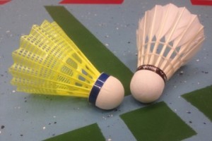 TV_1843_Dillenburg_BADMINTON_Was_ist_der_Unterschied_zwischen_Federball_und_Badminton