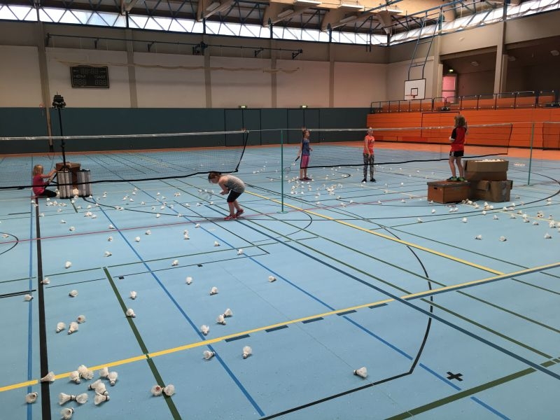 2017-08-07 Ferienpass Badminton (2) Zirkel