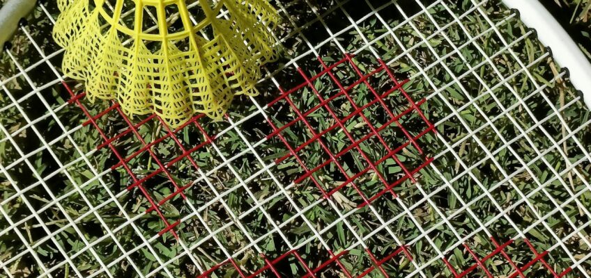 Close-up of a badminton shuttlecock on a racket on grass, highlighting sports equipment.